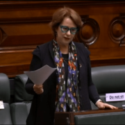 Suzanna Sheed Independent Member of Parliament for Shepparton dressed in business suit and holding papers stands in the Legislative Assembly and address parliament