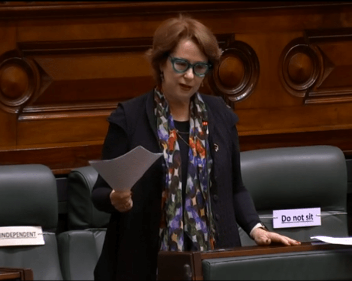 Suzanna Sheed Independent Member of Parliament for Shepparton dressed in business suit and holding papers stands in the Legislative Assembly and address parliament